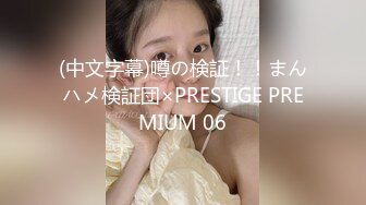 (中文字幕)噂の検証！！まんハメ検証団×PRESTIGE PREMIUM 06