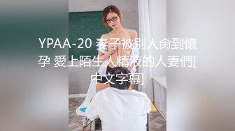 YPAA-20 妻子被別人肏到懷孕 愛上陌生人精液的人妻們[中文字幕]