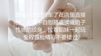 颜值小少妇开车了在店里直接骚，大黑牛自慰骚逼揉骚奶子性感的纹身，拉着姐妹一起玩全程露脸精彩不要错过