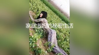 家庭主妇的秘密生活