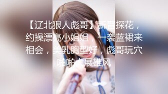 【辽北狠人彪哥】新晋探花，约操漂亮小姐姐，一袭蓝裙来相会，美乳胸型好，彪哥玩穴啪啪大展雄风