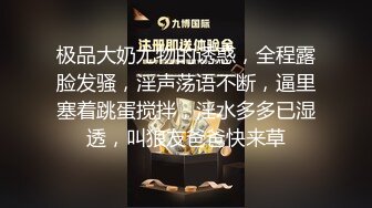 极品大奶尤物的诱惑，全程露脸发骚，淫声荡语不断，逼里塞着跳蛋搅拌，淫水多多已湿透，叫狼友爸爸快来草