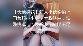 【大地探花】新人小伙偷拍上门兼职小少妇，大胸肤白，情趣挑逗，沙发啪啪，美腿玉足高耸