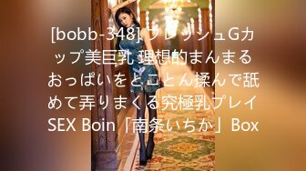 [bobb-348] フレッシュGカップ美巨乳 理想的まんまるおっぱいをとことん揉んで舐めて弄りまくる究極乳プレイSEX Boin「南条いちか」Box