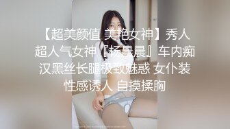 【超美颜值 美艳女神】秀人超人气女神『杨晨晨』车内痴汉黑丝长腿极致魅惑 女仆装性感诱人 自摸揉胸